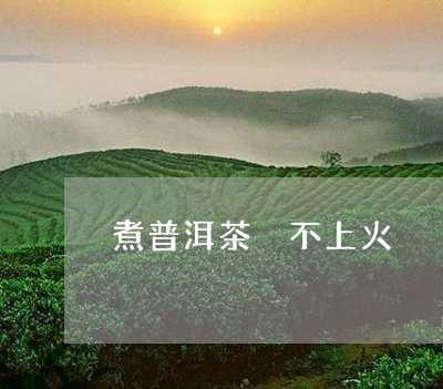 煮普洱茶 不上火/2023041061713